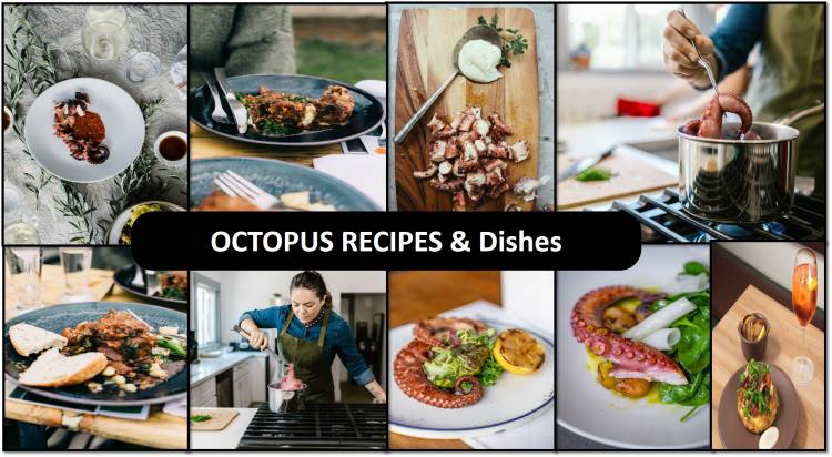 Octopus Recipes & Dishes