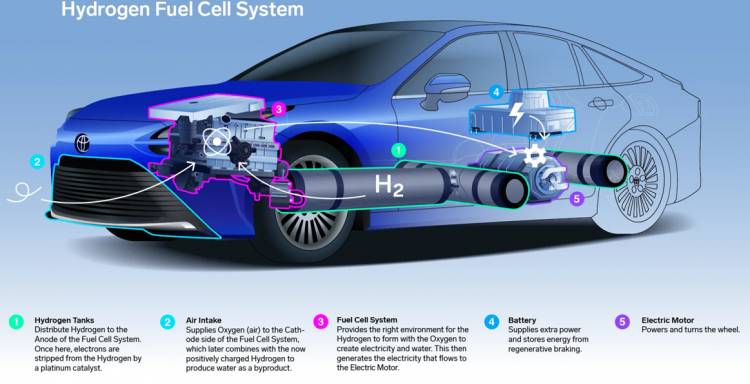 Hydrogen Fuel Cell Vehicles: The Future of Clean Transportation