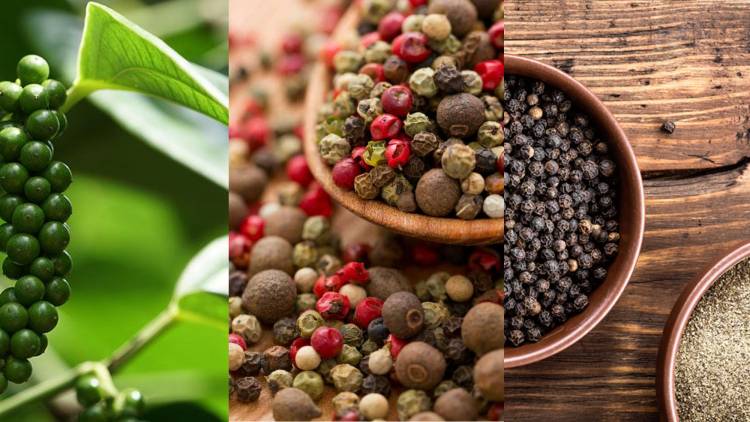 Black Pepper: Benefits of Black Peppers: A Detailed information about Black Pepper: