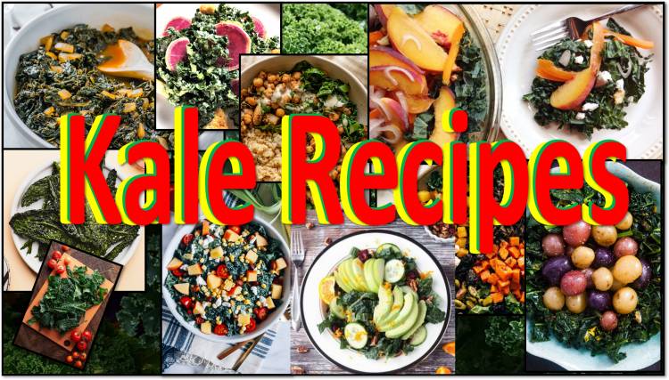 Lacinato Kale Recipes