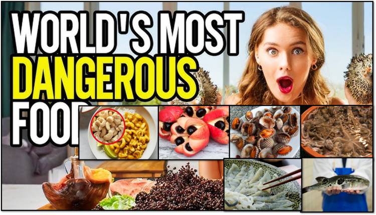 The 20 Deadliest (Fatal) Diets in the World