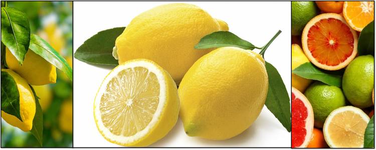 Lemons (Citrus limon) info.