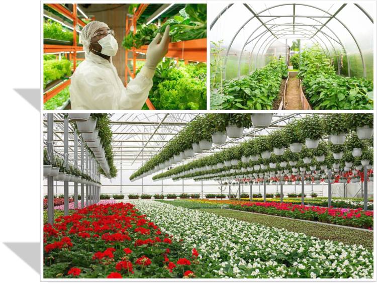 Horticulture (Gardening)