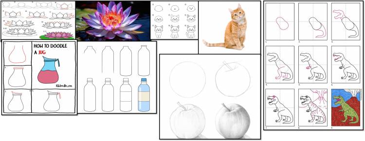 How to draw Lotus, cat, pitcher, Apple, bottle and Dinosaur.