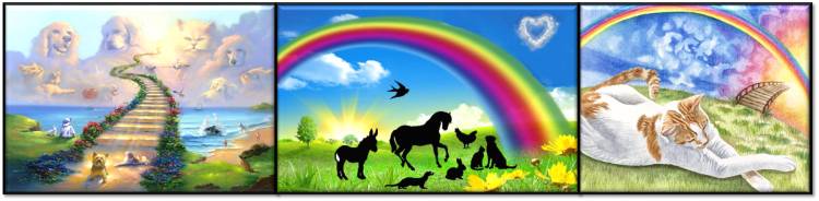 Crossing The Rainbow Bridge