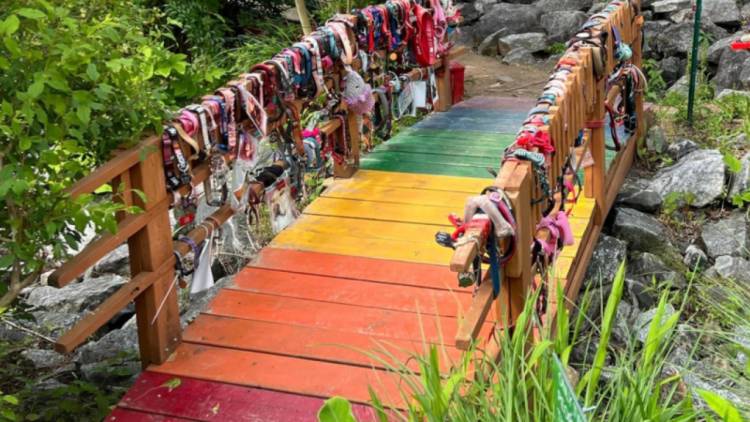 Crossing The Rainbow Bridge