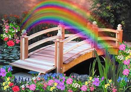Crossing The Rainbow Bridge