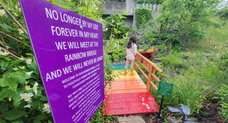 Crossing The Rainbow Bridge
