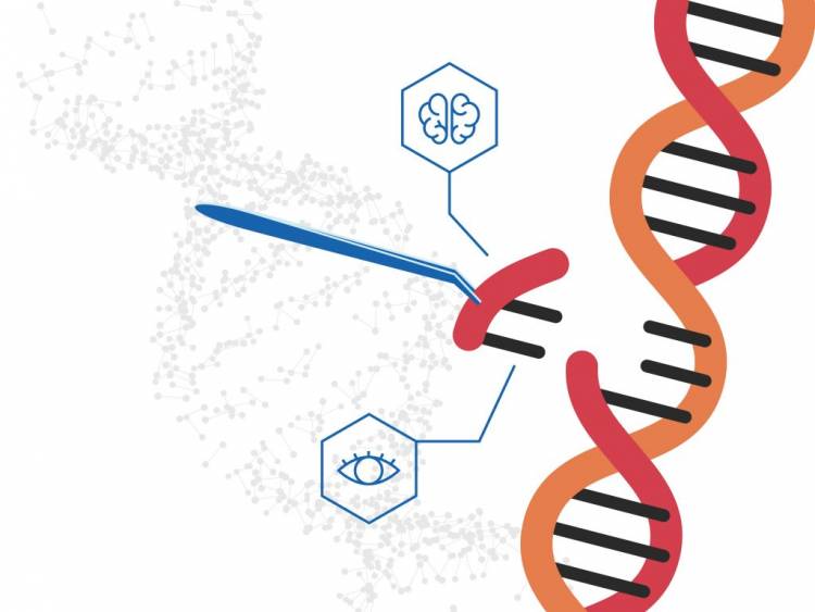 Viral vector Gene Therapy