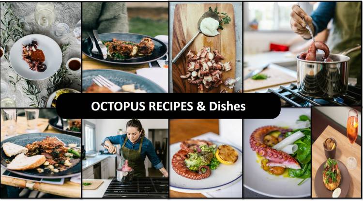 Octopus Recipes & Dishes