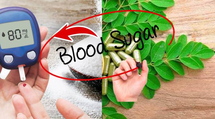 How to control blood sugar with moringa-P2? Moringa Power