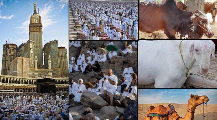 Eid al-Adha: Eid ul Azha: Eid-e-Qurbani