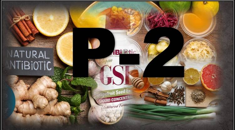 Natural Antibiotic Foods to Add to Your Diet (food)-2