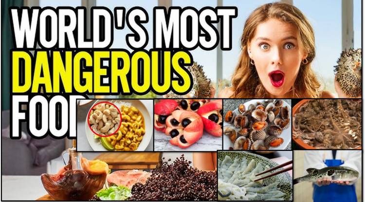 The 20 Deadliest (Fatal) Diets in the World