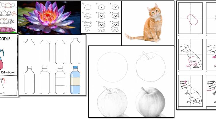 How to draw Lotus, cat, pitcher, Apple, bottle and Dinosaur.