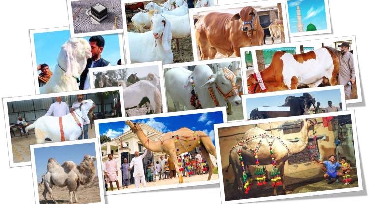 Eid-ul- Adha in 2025 and History: Eid -e-Qurban