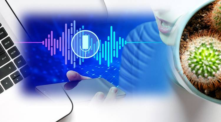 voice search & conversational writing assistant platform
