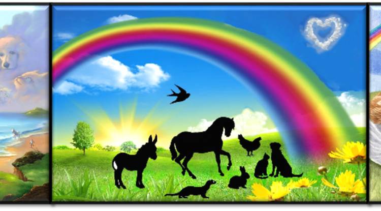 Crossing The Rainbow Bridge