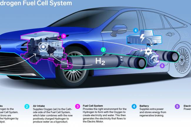 Hydrogen Fuel Cell Vehicles: The Future of Clean Transportation