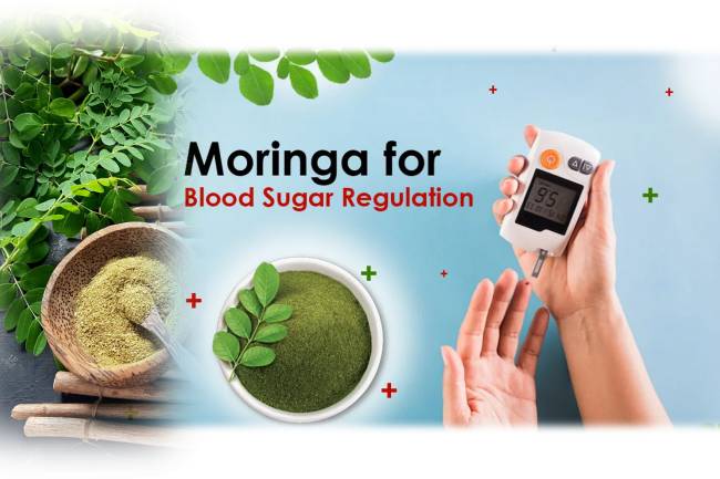  Moringa for blood sugar: How to control blood sugar with Moringa.