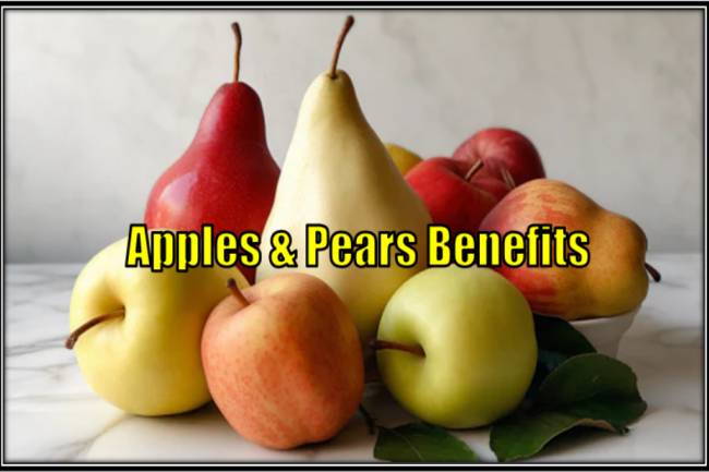 Both Apple & Pear Offer a Variety of Health Benefits.