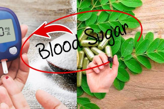 How to control blood sugar with moringa-P2? Moringa Power