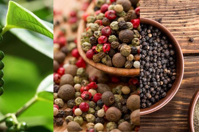 Black Pepper: Benefits of Black Peppers: A Detailed information about Black Pepper: 