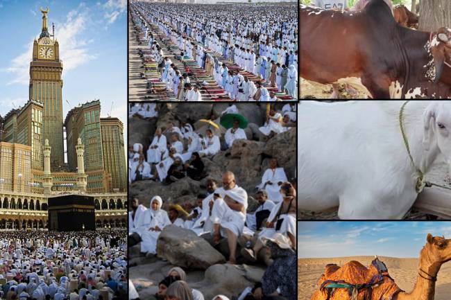 Eid al-Adha: Eid ul Azha: Eid-e-Qurbani
