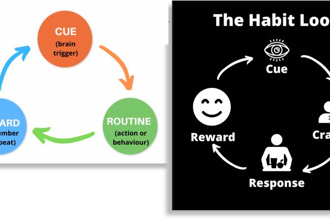 what is a habit loop
