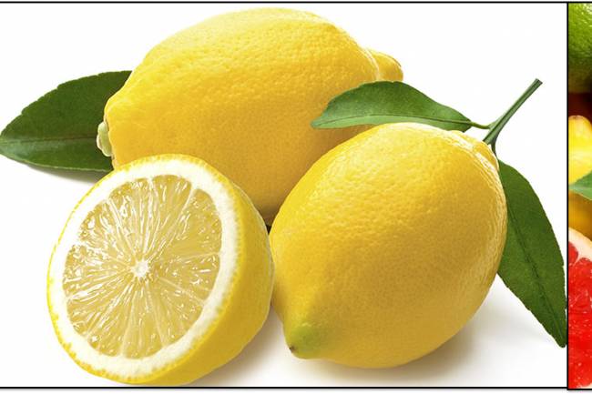Lemons (Citrus limon) info.