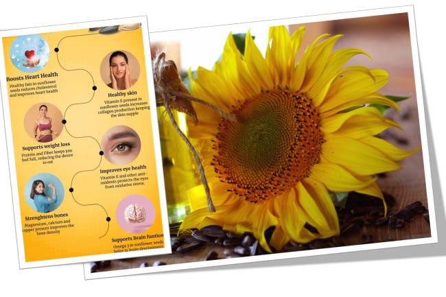 Sunflower Seed Oil Benefits and types