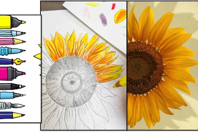 How to draw Sunflowers with steps