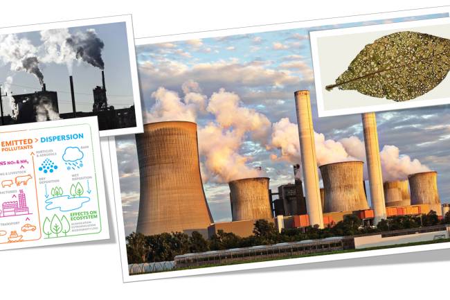 Air Pollution Definition and Biodiversity Definition