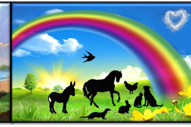 Crossing The Rainbow Bridge